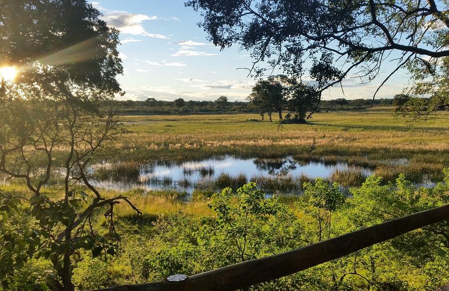 Grüne Caprivi Streifen - Zambezi Region