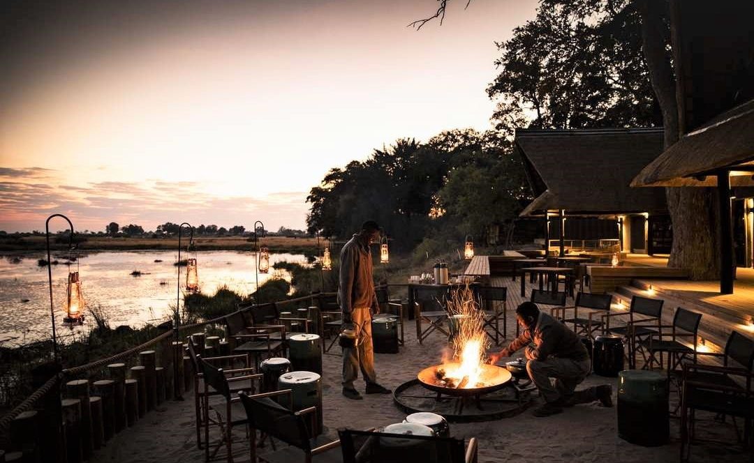 Boma von Kings Pool