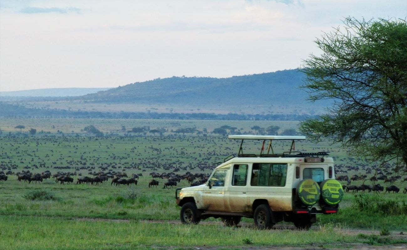 Safaris im Geländefahrzeug