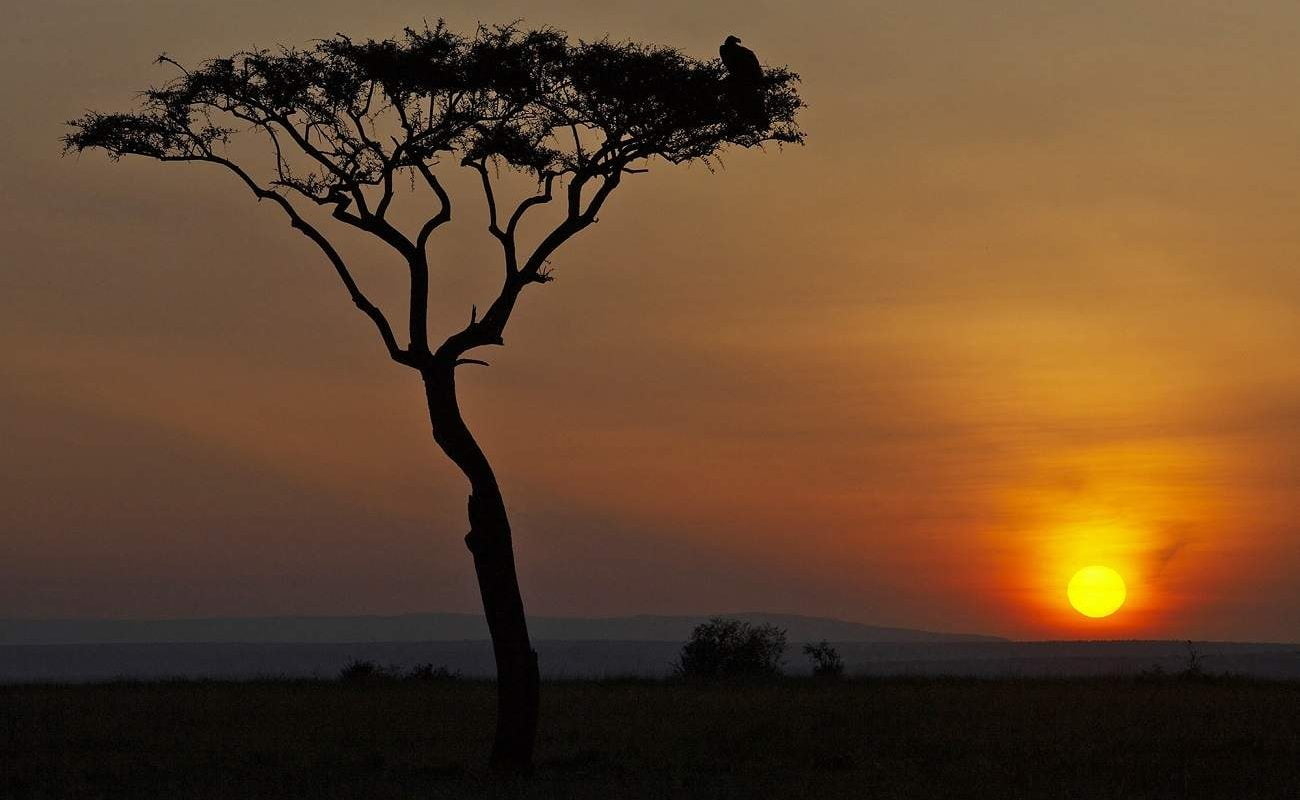 Sonnenuntergang in Tansania