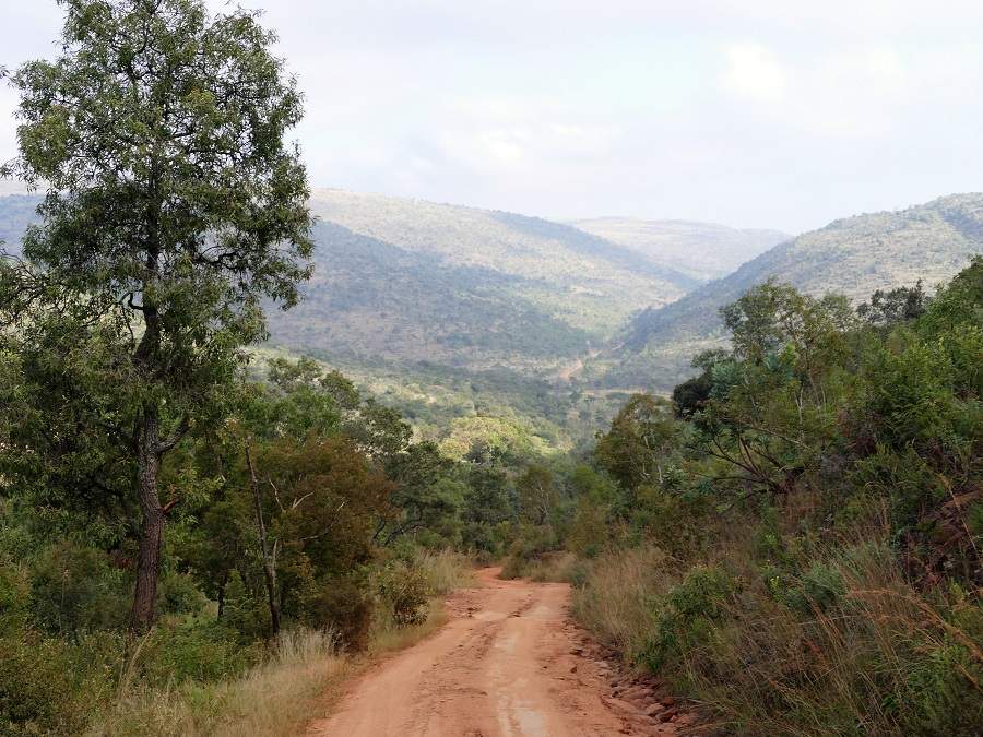 Die Landschaft des Welgevonden Game Reserves
