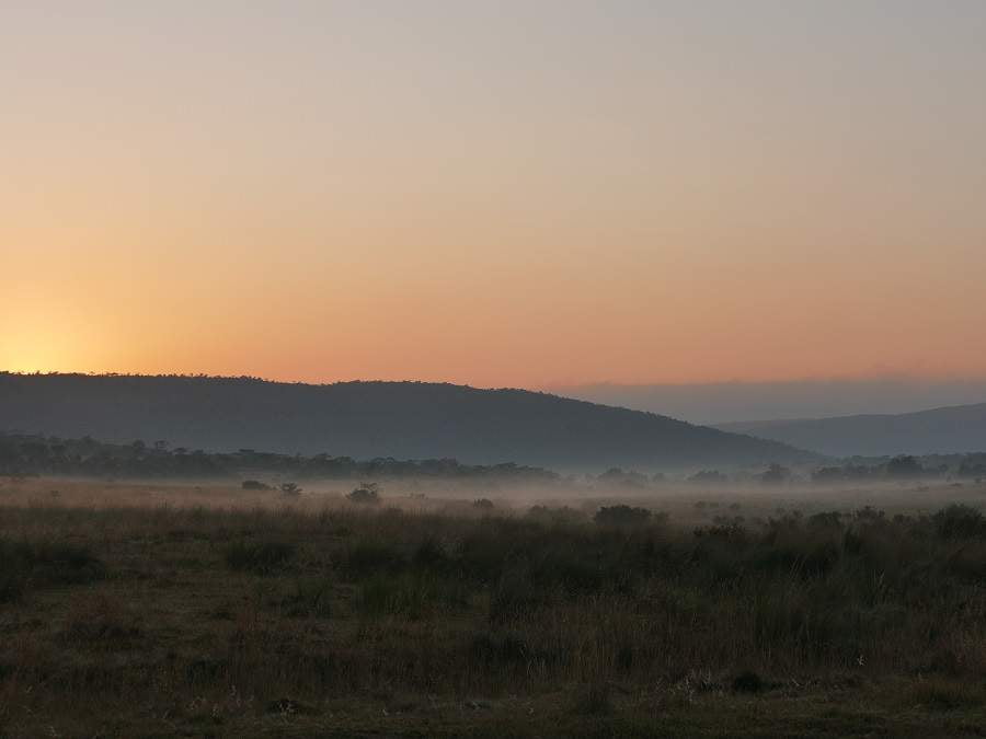 Sonnenaufgang im Welgevonden Game Reserve