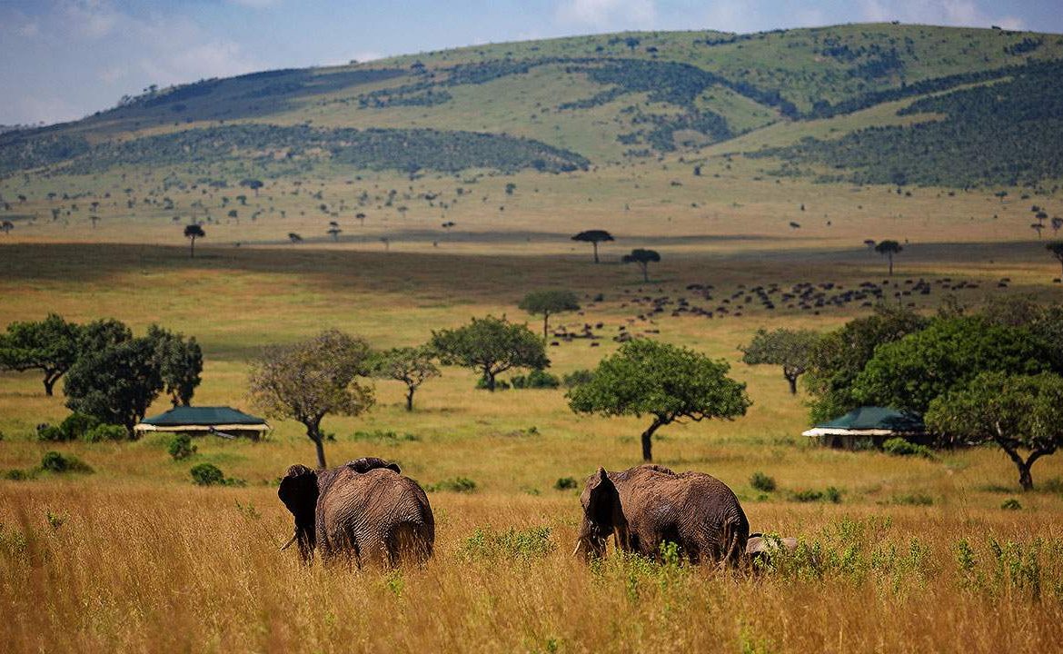 Elefanten vor dem Sand River Mara Camp