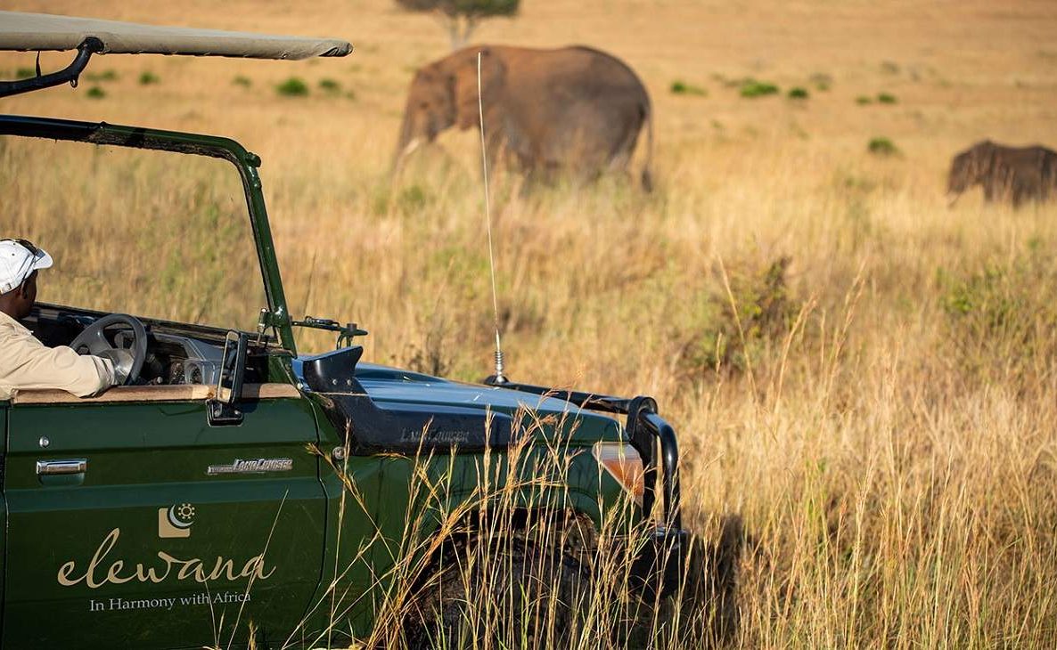 Pirschfahrt in der Masai Mara