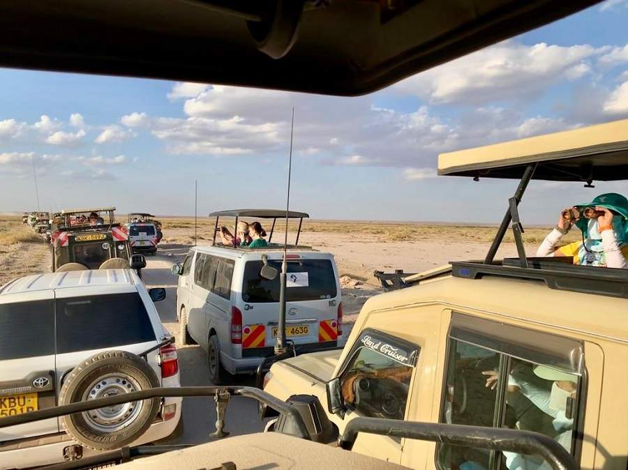 Safarifahrzeuge im Amboseli