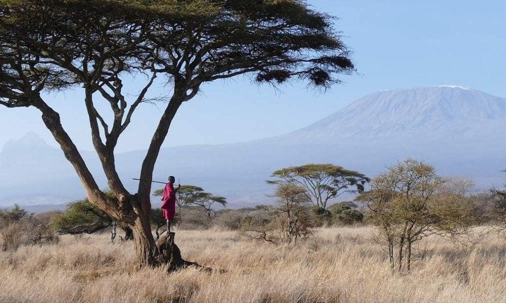 Satao Elerai, Amboseli