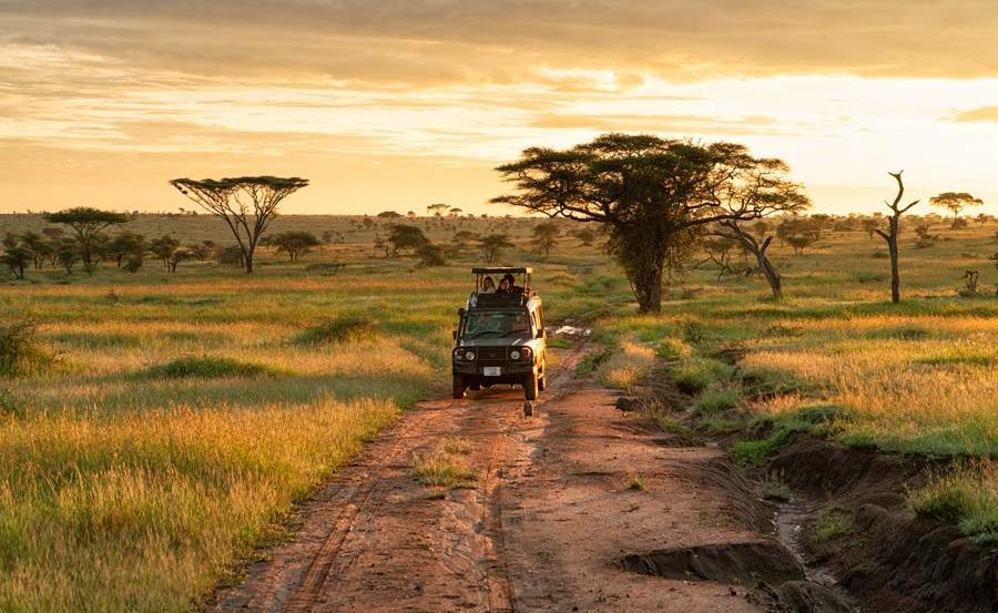 Safari in der Serengeti