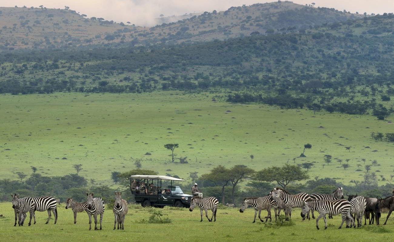 Große Migration in der Serengeti