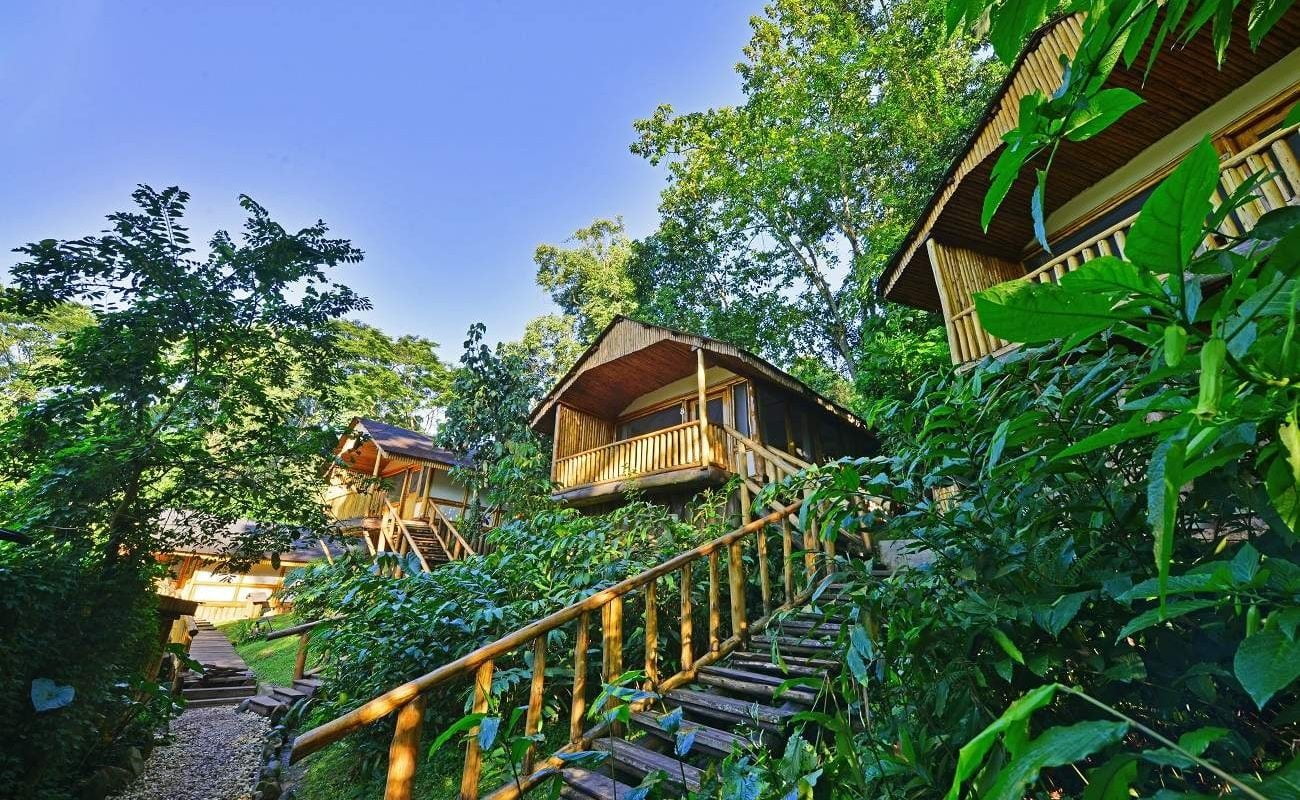 Blick auf die Chalets der Buhoma Lodge