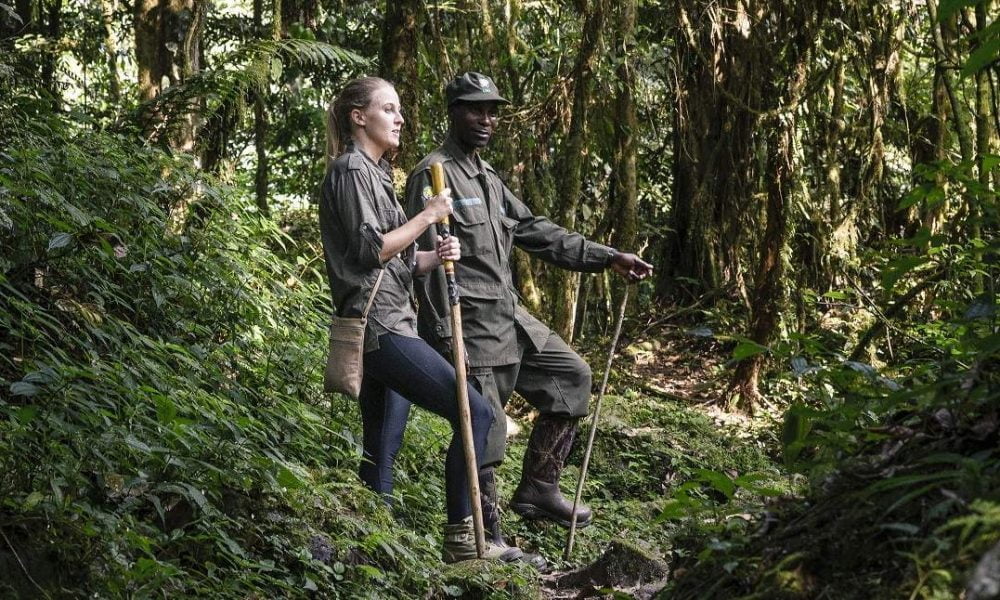 Die schönsten Lodges im Bwindi Impenetrable Forest