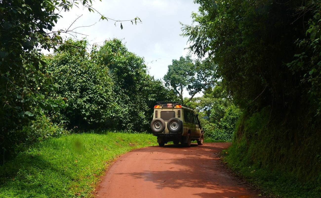 Fahrt im Bwindi