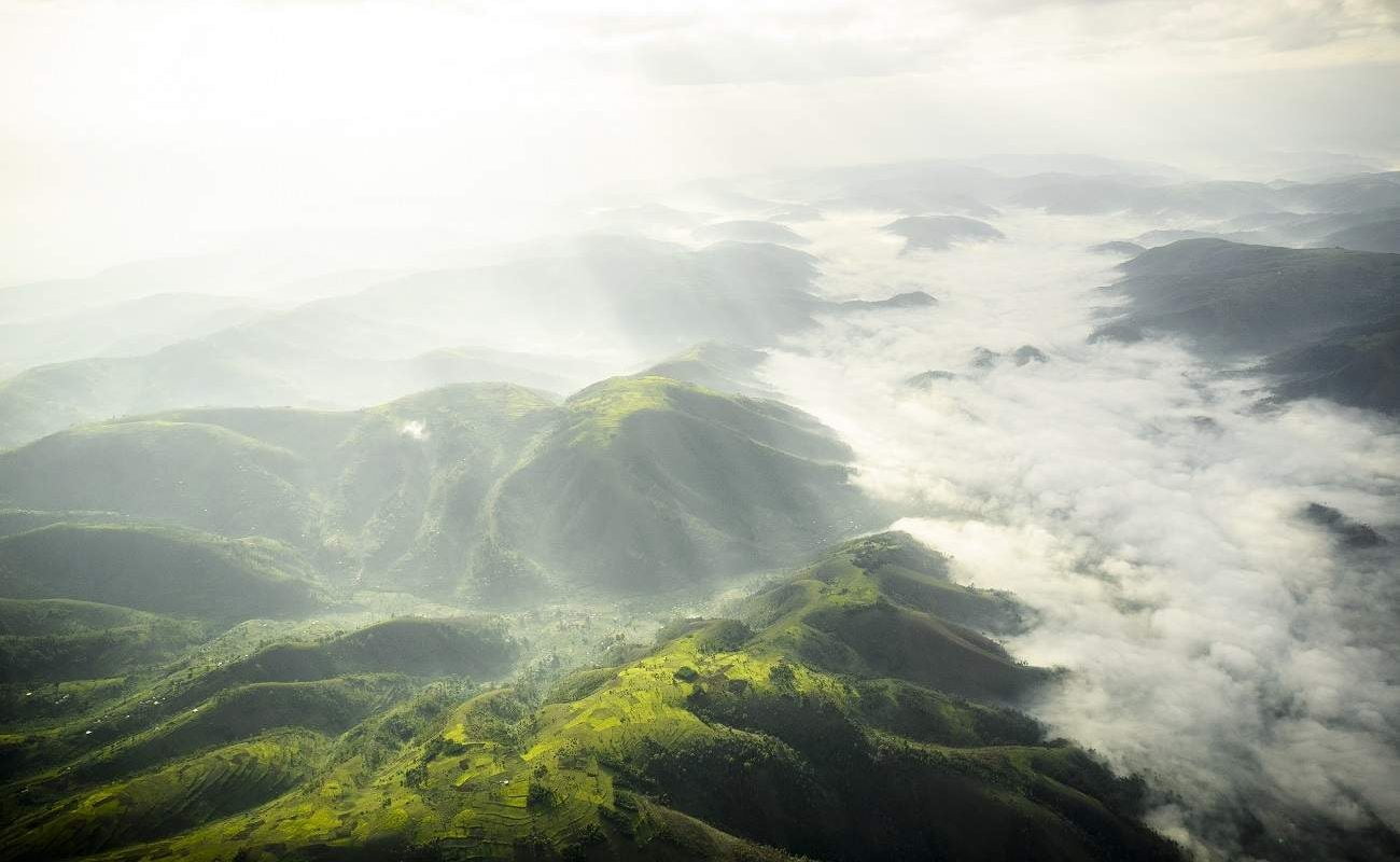Bwindi Impenetrable Forest