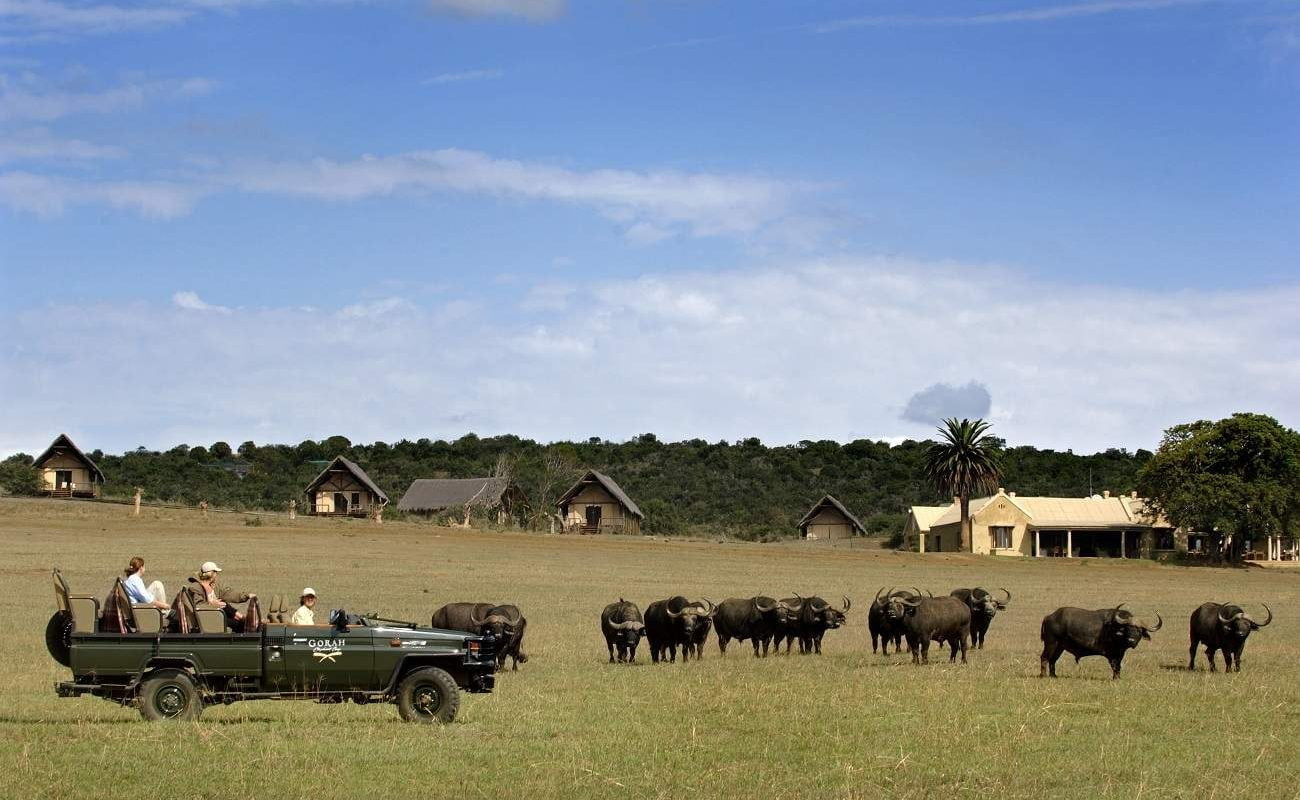 Pirschfahrt im Addo Elephant Nationalpark