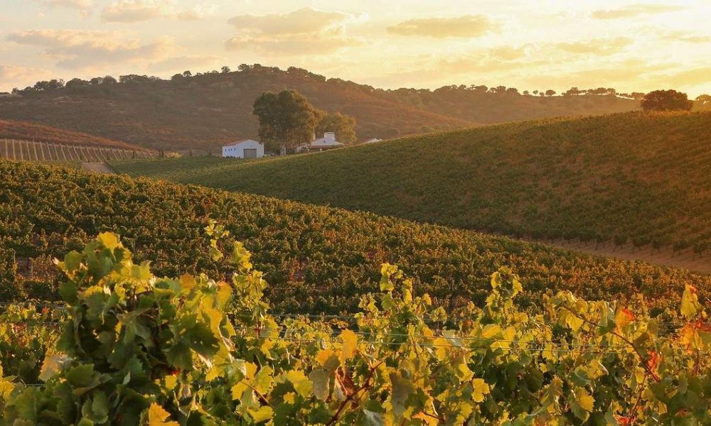 Exklusive Weinreise Portugal zwischen Lissabon und Porto