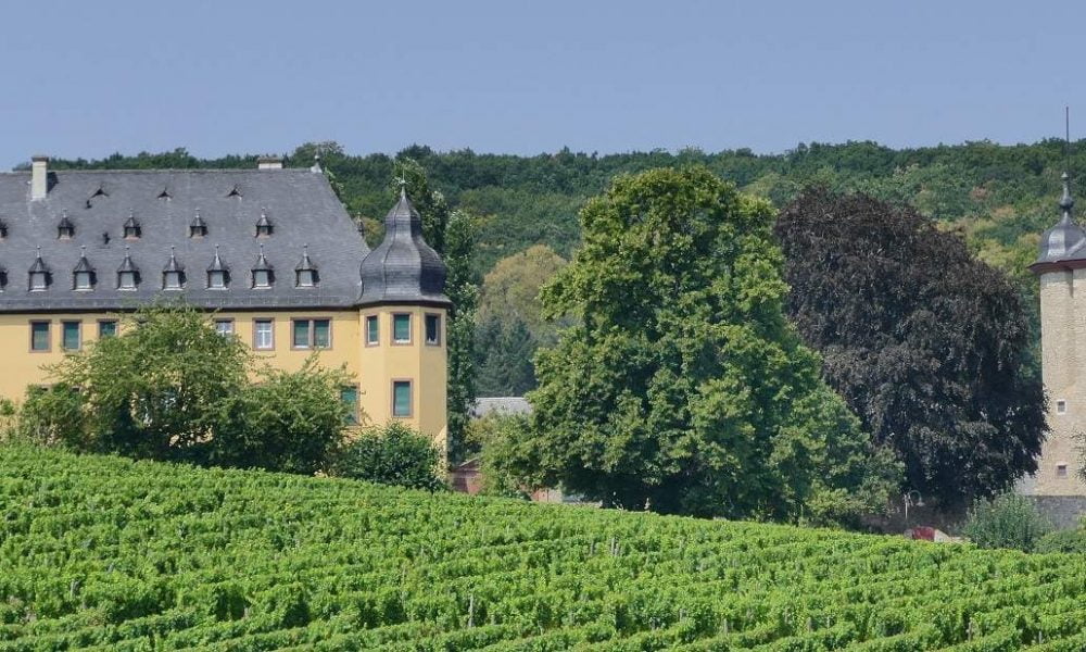 Reisen in die Weinregionen von Deutschland