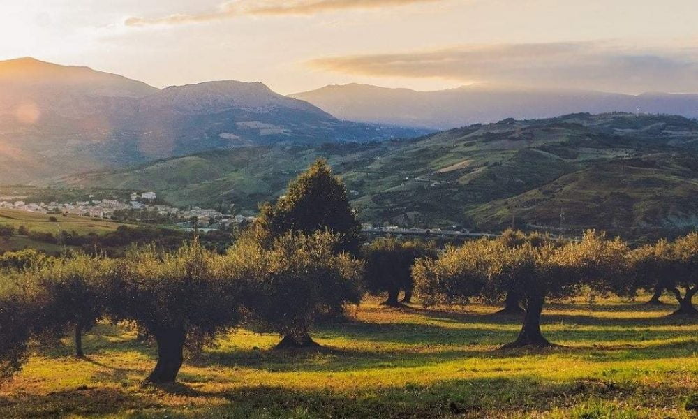 Machen Sie Urlaub in der Emilia Romagna mit Genuss Touren