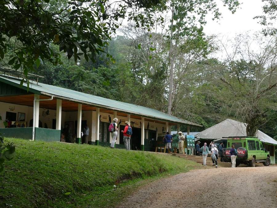 Headquarter Kibale Nationalpark - Briefing Schimpansen Trecking