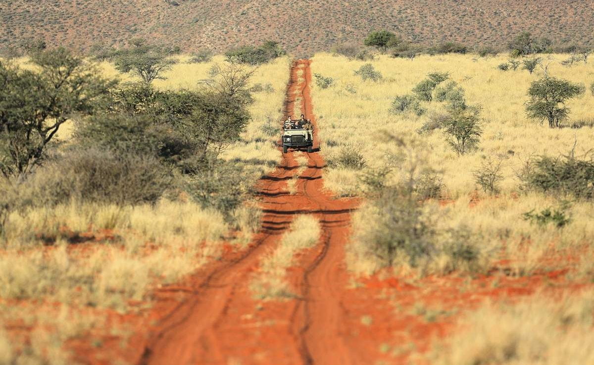 Safari in der Grünen Kalahari des privaten Wildreservates