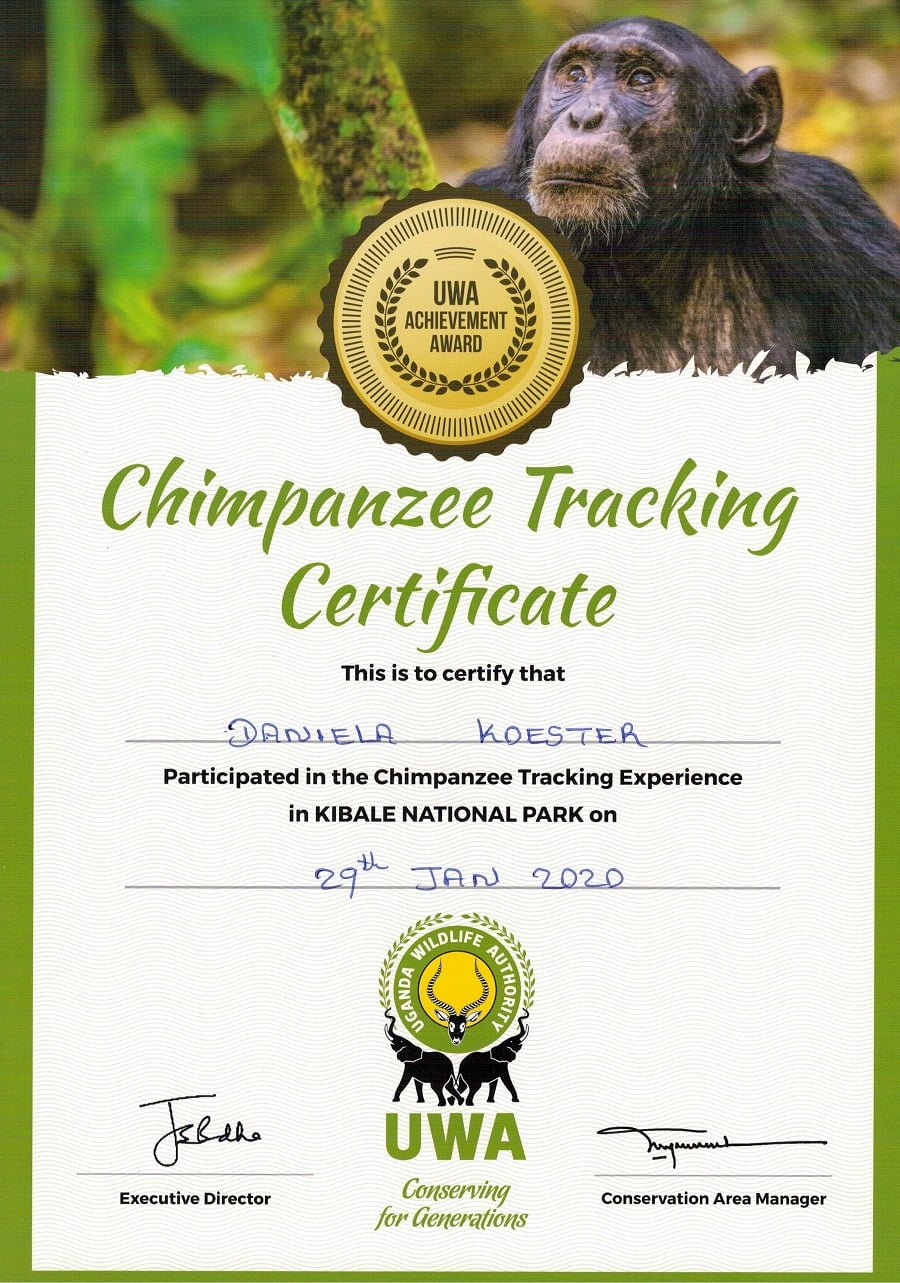 Urkunde Schimpansen-Tracking