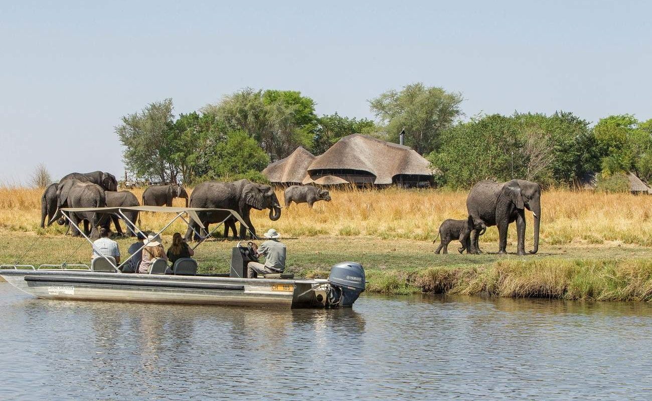 Blick auf die Chobe Savanna Lodge mit Elefanten