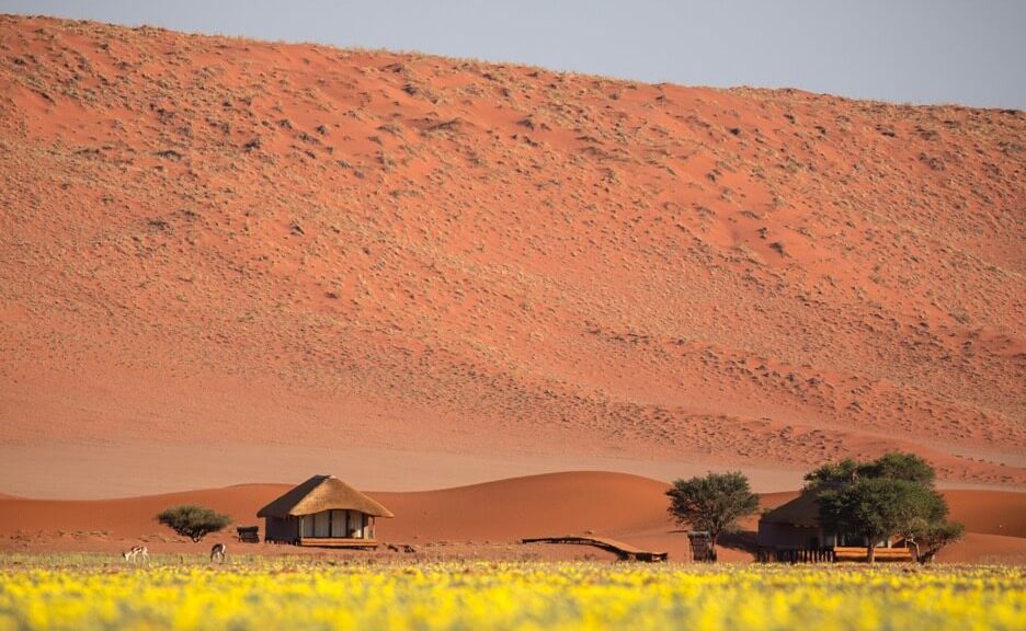 Zelt vor der Kulisse der roten Dünen der Namib