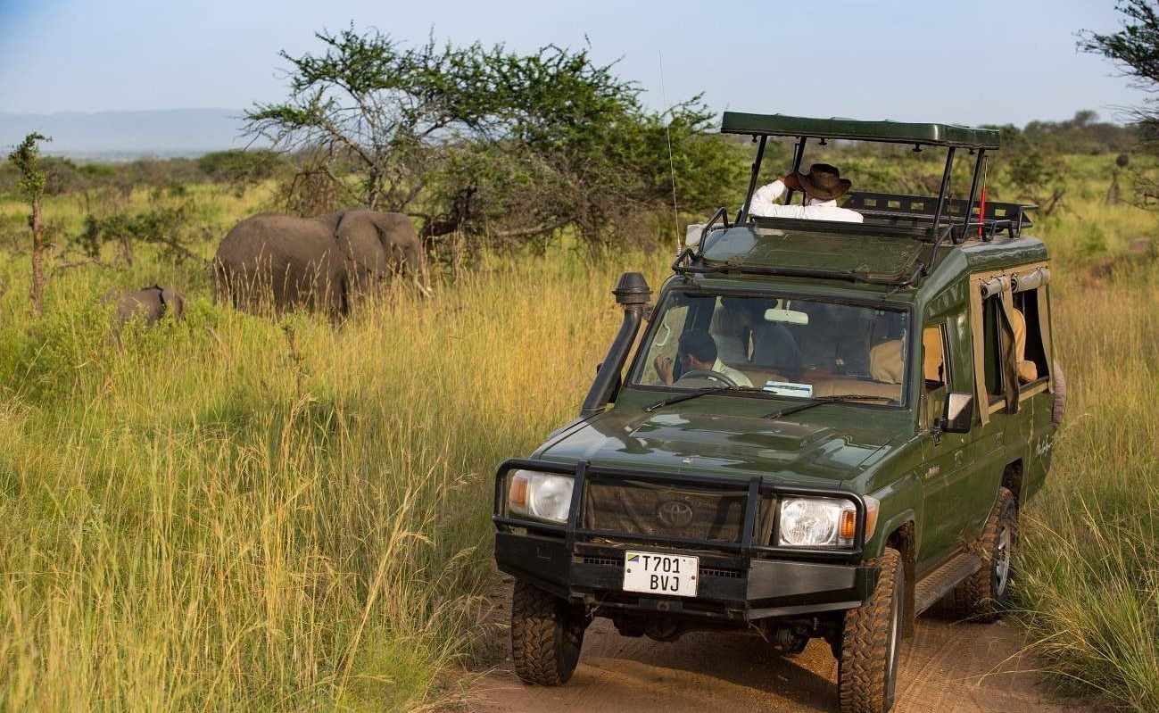 Pirschfahrt in der Serengeti