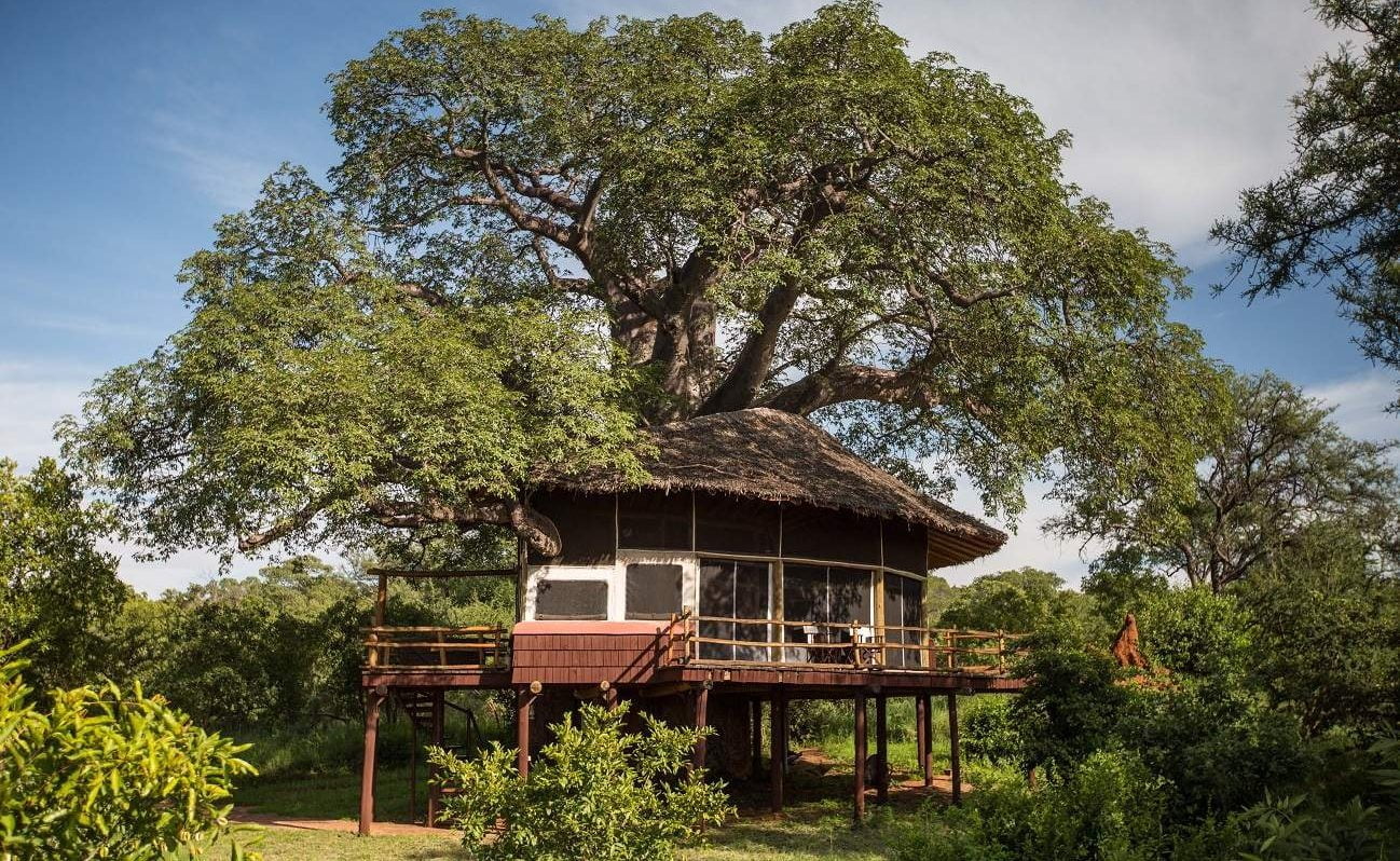 Baumhaus in Tarangire Treetops
