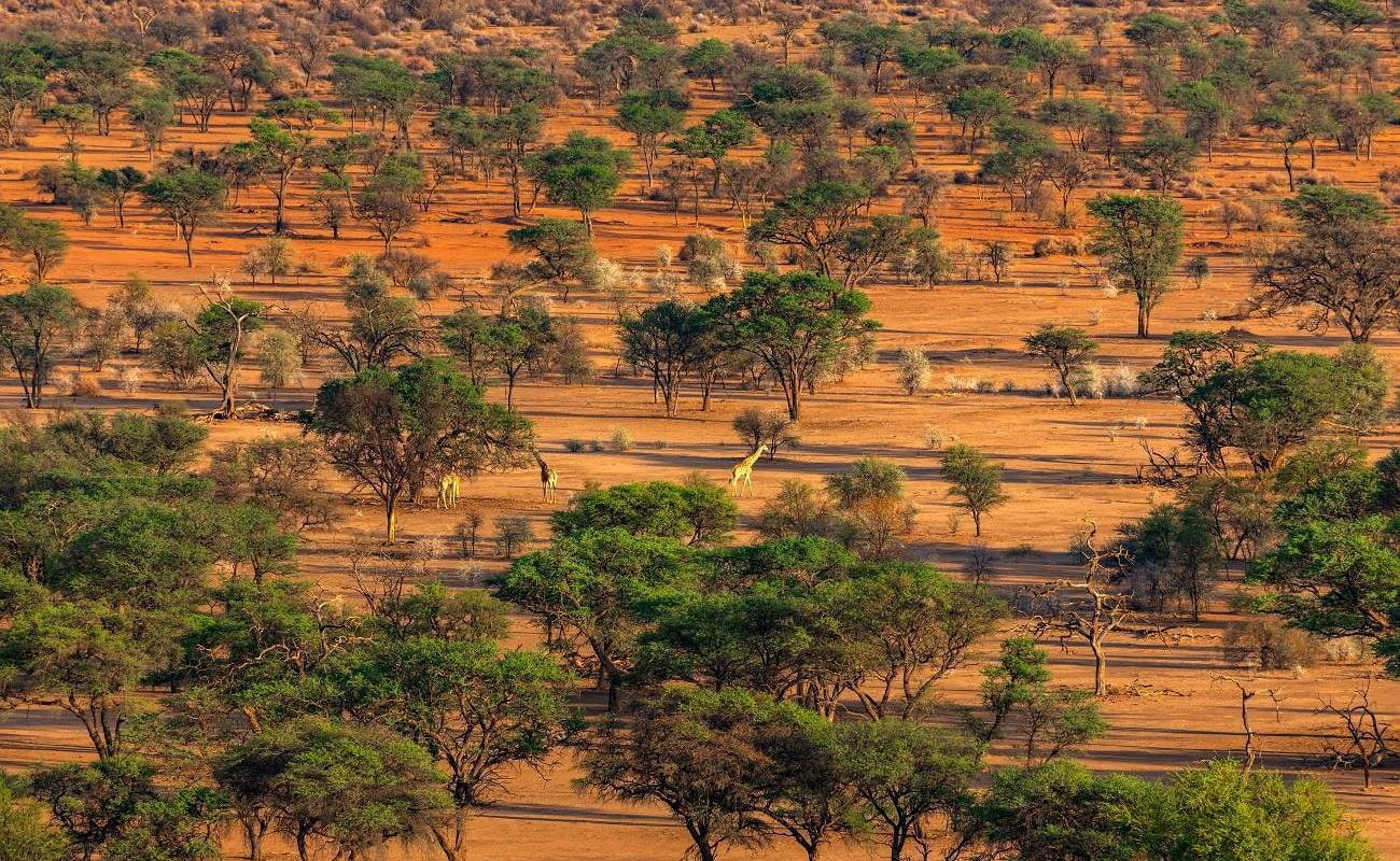 Die Landschaft um Habitas