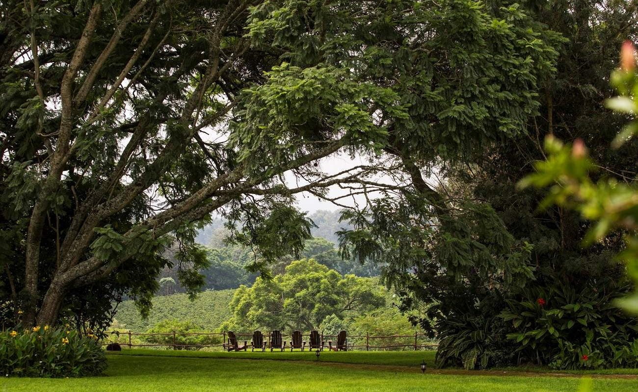 Der üppige Garten in der Luxuslodge am Ngorongoro Krater