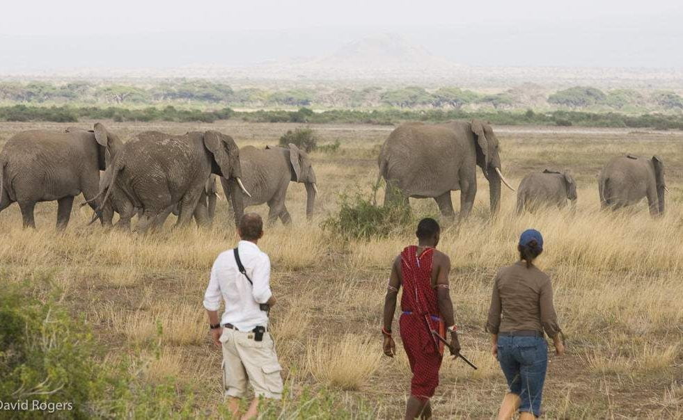 Pirschwanderung im Amboseli