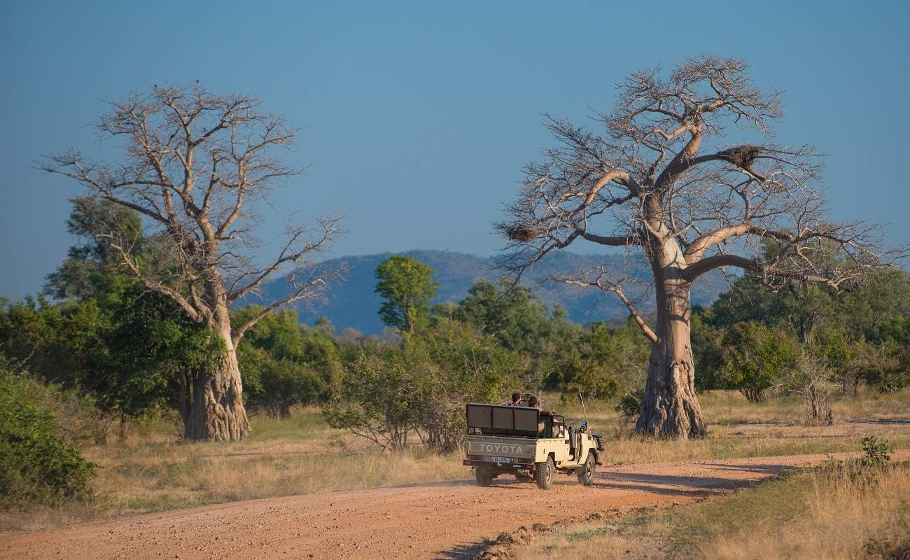 Die herrliche Landschaft des South Luangwa