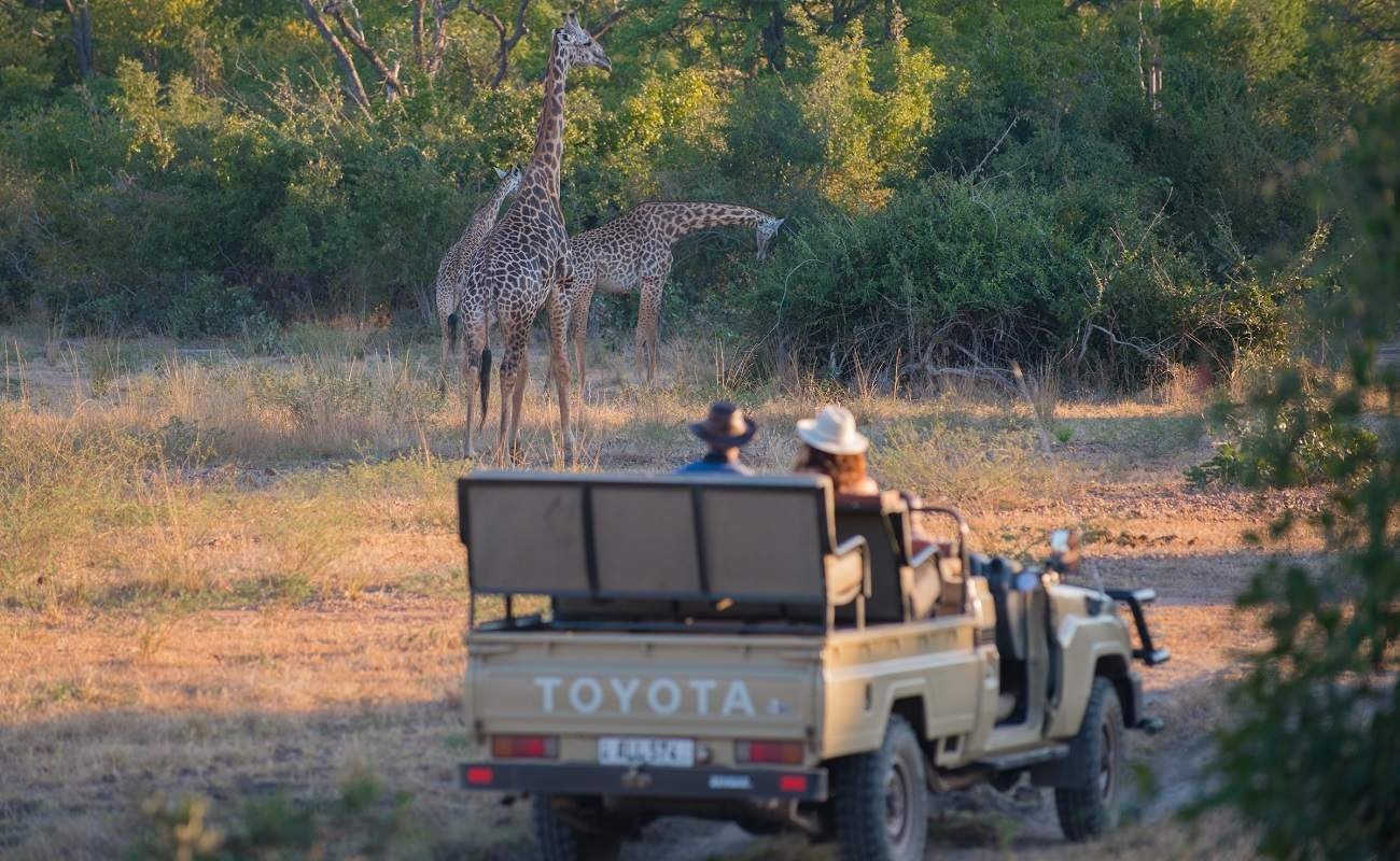 Pirschfahrt im South Luangwa