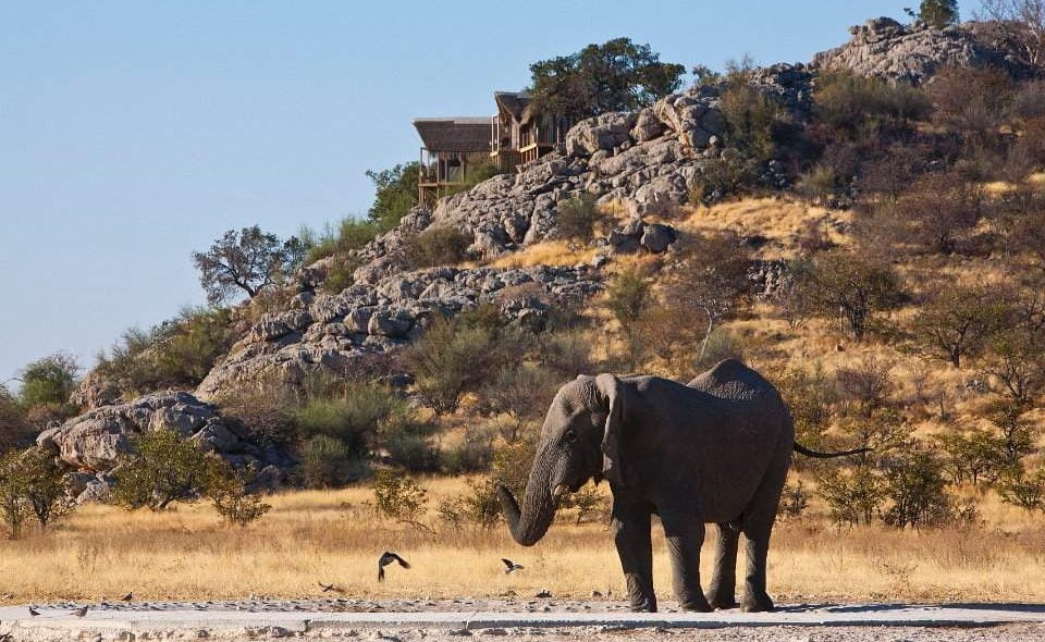 Pirschfahrt im Etosha West