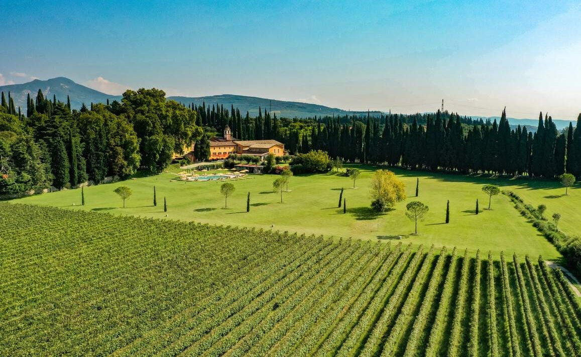 Weinberge der Azienda Vigneti Villabella