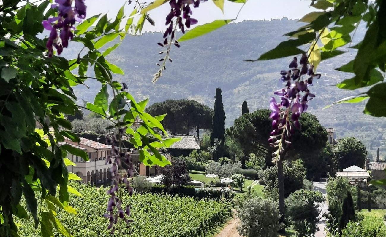 Il Falconiere Il Flaconiere - mitten in den Weinbergen