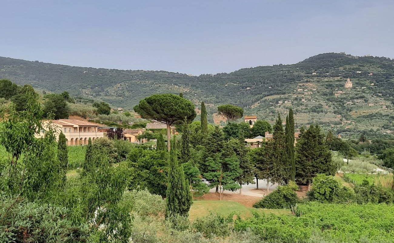Il Falconiere Cortona Il Falconiere - inmitten von Weinbergen