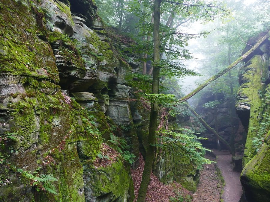Schlucht im Müllerthal