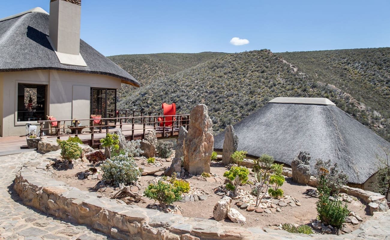 White Lion Lodge Sukkulenten Sukkulenten Garten White Lion Lodge