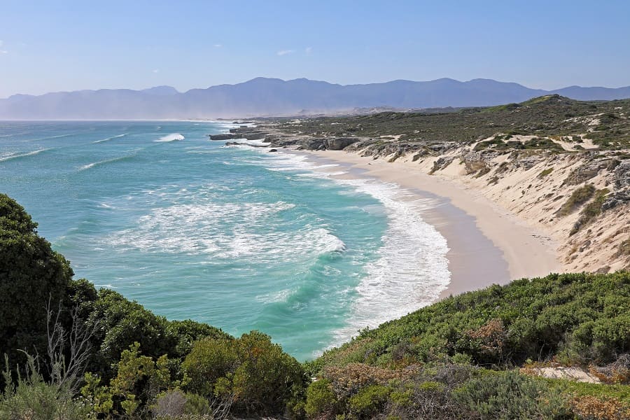 Küste bei Hermanus - Walsaison