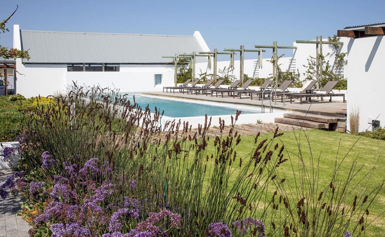 Garten und Pool Strandloper Ocean