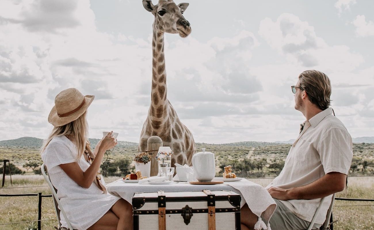 High Tea mit Giraffen in Voigtland