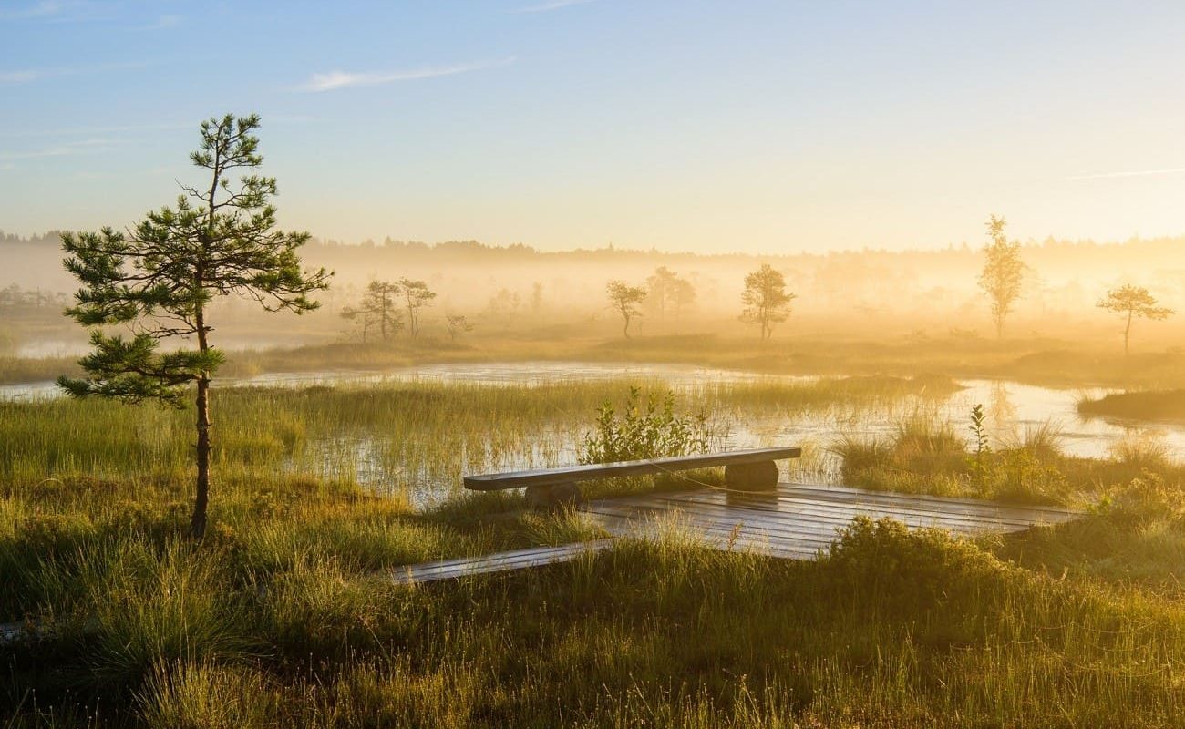 Soomaa Nationalpark - eine Station auf der Rundreise durch Estlands Westen
