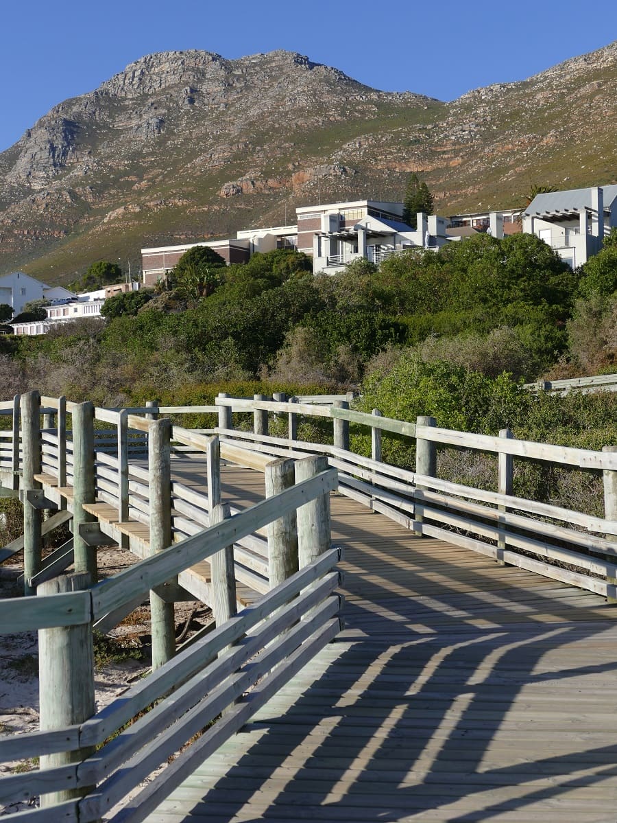 Tintswalo Atlantic