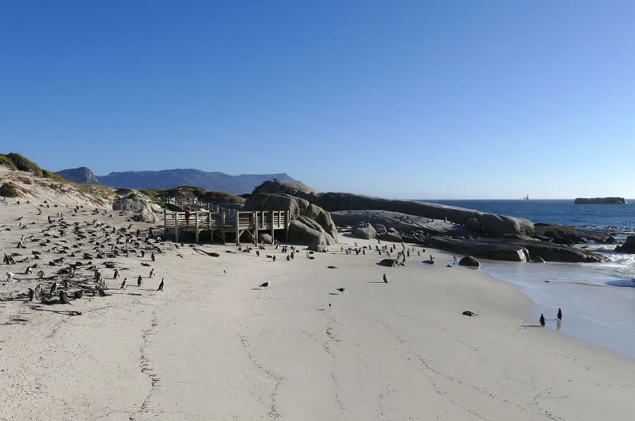 Foxy Beach Boulders Beach