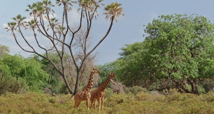 Reisetipps für die Nebensaison in Afrika