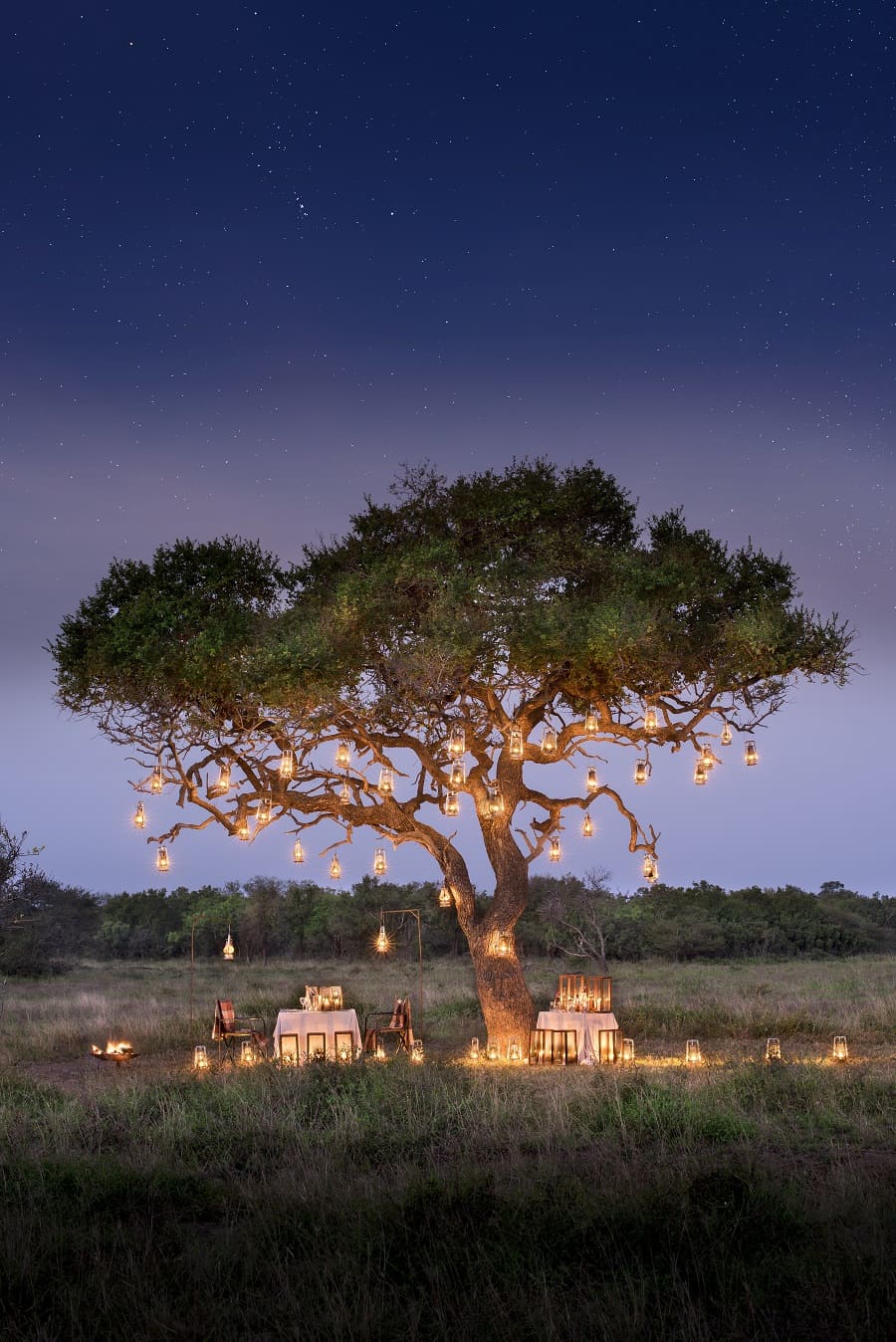 Dinner im Busch - nicht nur für eine Hochzeitsreise in Afrika 