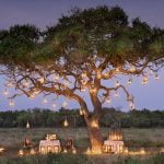 Flitterwochen in Afrika - romantische Ideen für Ihre Hochzeitsreise