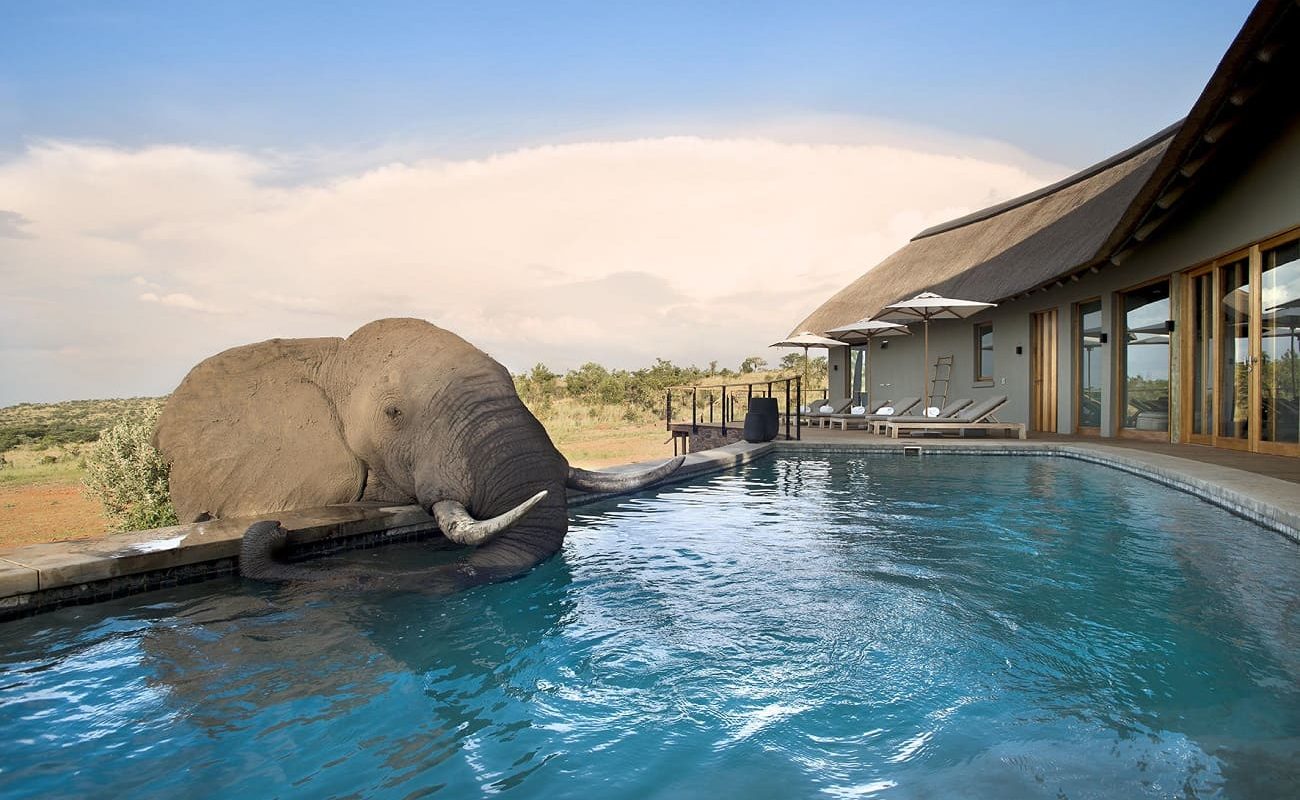 Mhondoro Safari Lodge and Villa Elefantenpool