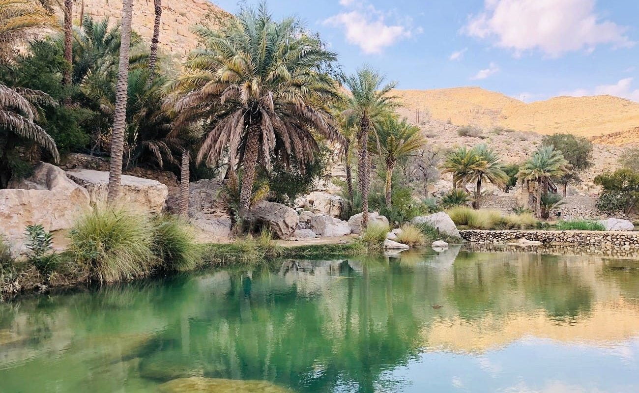 Palmengesäumtes Wadi im Oman