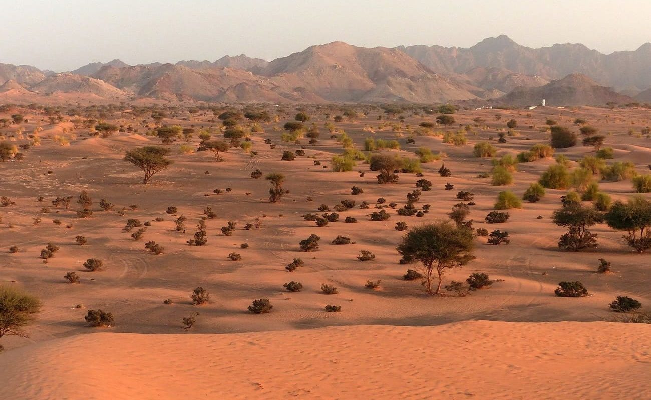 Wahiba Sands - einer der Highlights der Rundreise Klassisches Oman